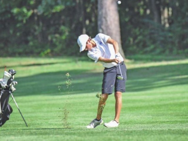McDonald medalist, Hornets 2nd