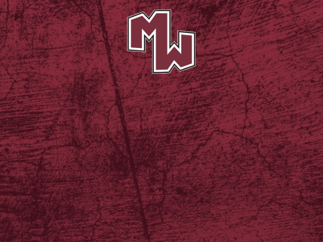 About Mascot Media