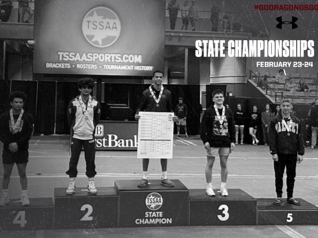 Image for Dragons Wrestling Places 4 on Podium at State Championships