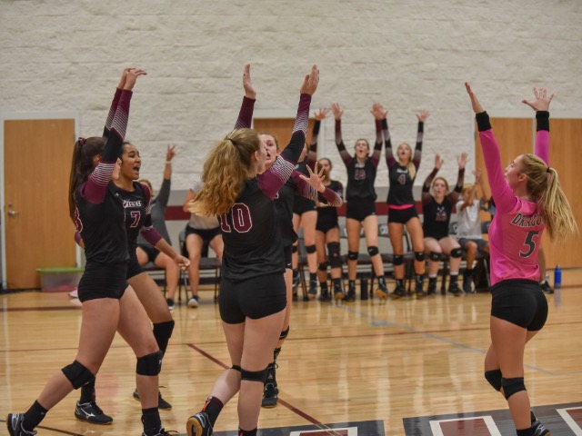 Collierville Volleyball Ranked  #2 In State's Early Season Poll