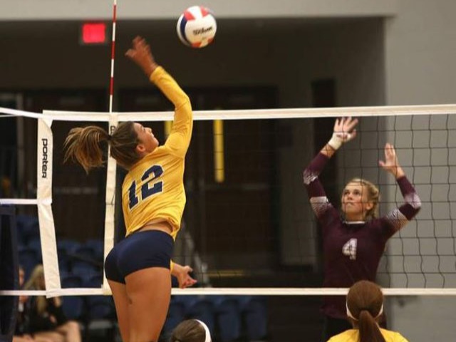 Plant leads Marion spikers to sweep of Benton