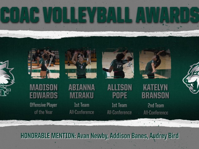 Image for Conference Volleyball Awards announced