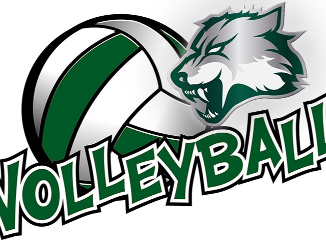 Lady Wolves storm Moore with win