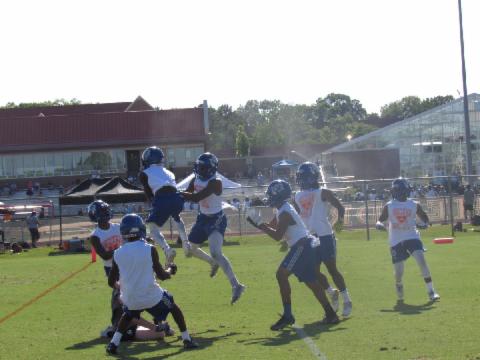NLR 26 Elkins 17