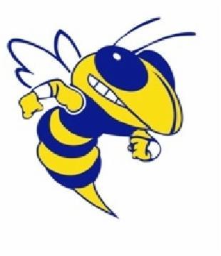 Yellow Jackets drop close one to Theodore AL