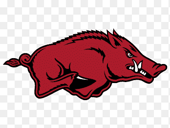 Placeholder for senior athlete photo