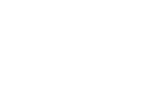 BLEW logo