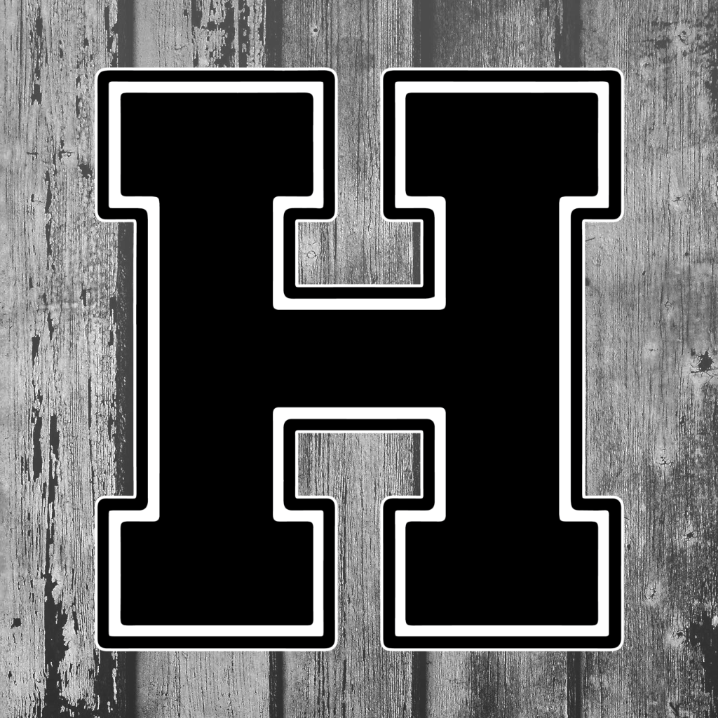 Houston  app logo