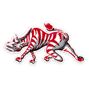 Pine Bluff graphic 6