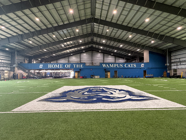 Wampus Cats Indoor Turf