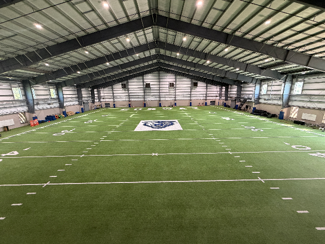 Wampus Cats Indoor Turf
