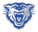 Basketball Madness logo