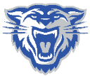 Blue vs White Match logo