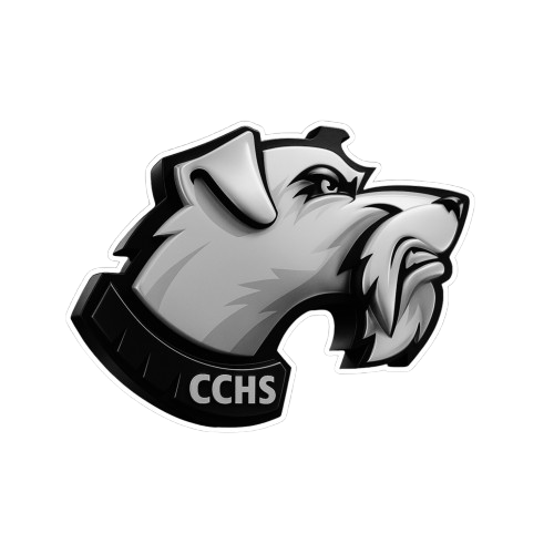 Carbondale HS Logo
