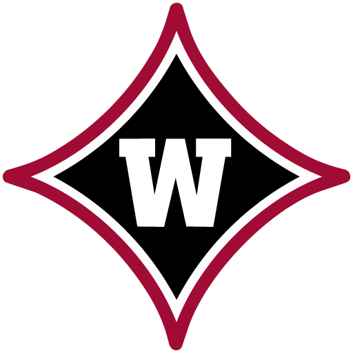 Wando HS App Icon