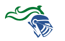 Lake Norman Charter logo