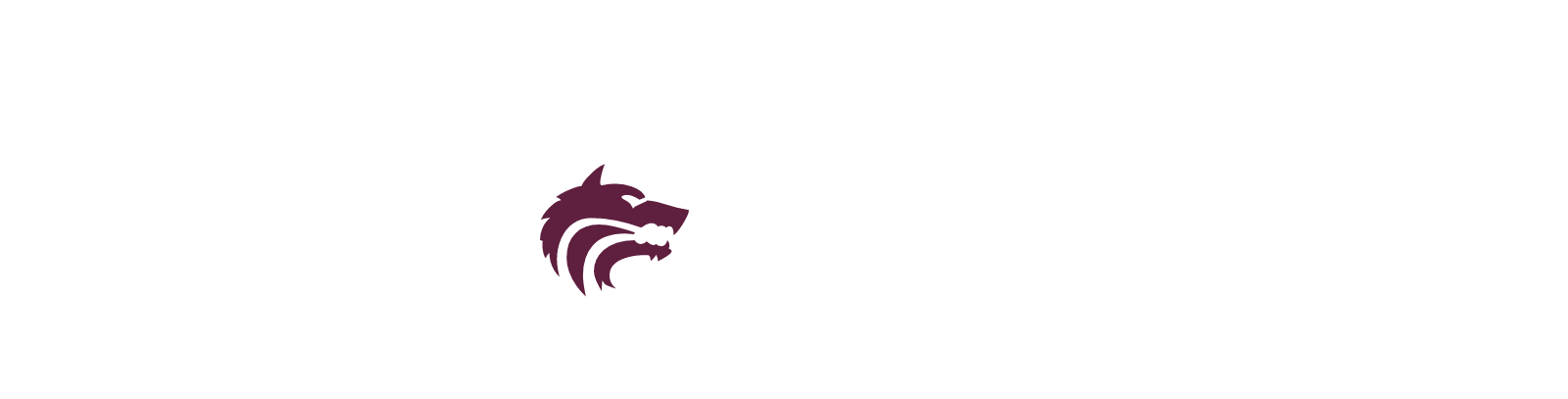 Lincoln image
