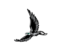 South Walton Logo