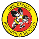 Brecksville Invitational Holiday Tournament (Day 2) logo