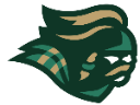 Dublin Jerome logo
