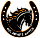 Delaware Hayes logo
