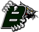 Blum logo