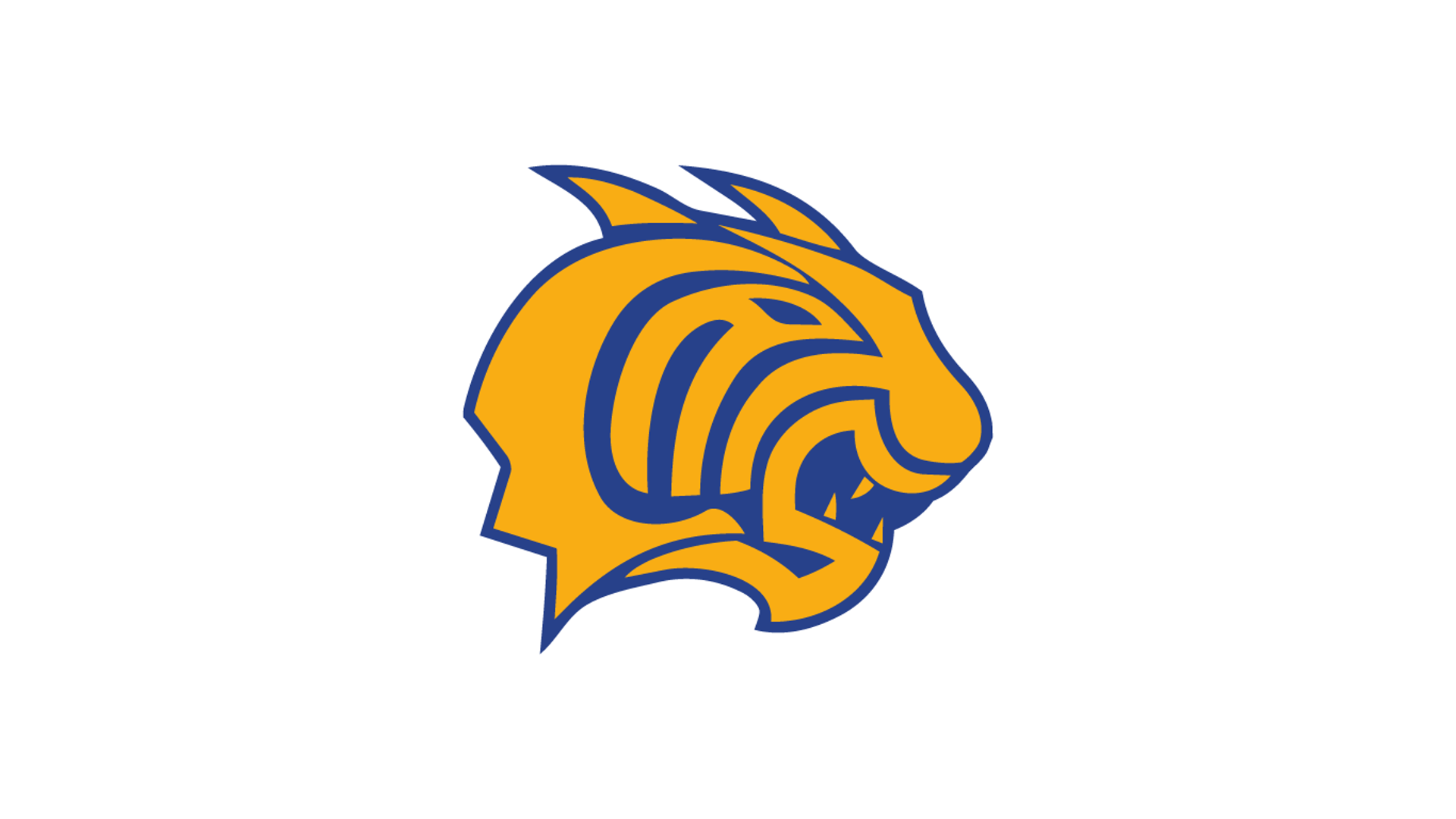 Piedmont Softball Coach