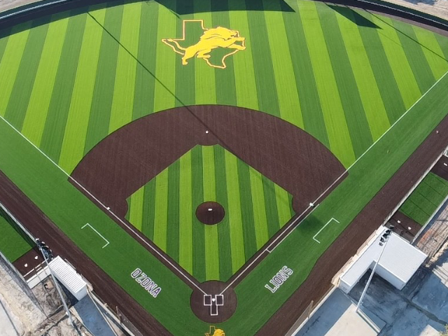 Lion Baseball Field 1