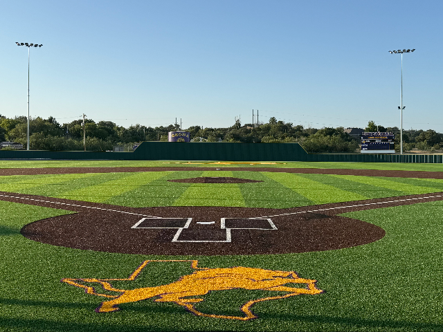HS Lion Baseball Field