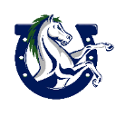 McNeil High School  logo