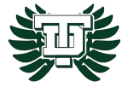 Taylor High School Lady Lions logo