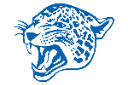 Adamson High School Adamson Leopards