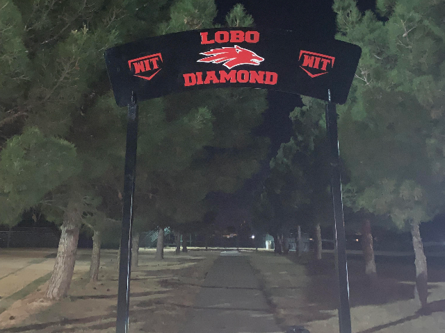 Lobo Diamond 3