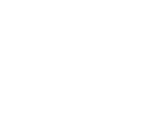 England Byrd logo