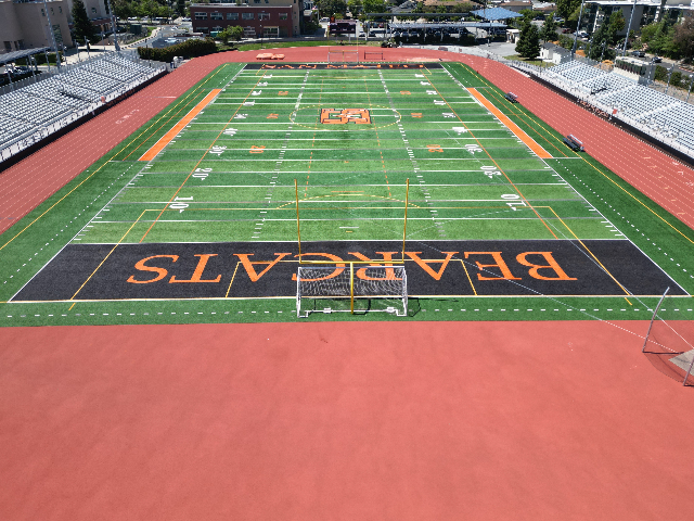 Stadium Field 0