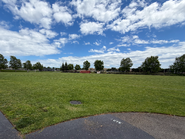 Grass Field 0