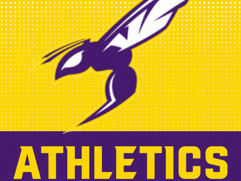 Valley Center Athletics logo