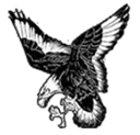 Mississinawa Valley logo