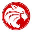Houston logo 1