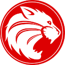Houston logo