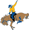 St. Marys logo