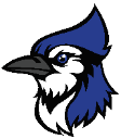 Delphos St. Johns logo