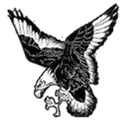 Mississinawa Valley-Scrimmage logo