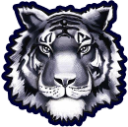 Twinsburg
