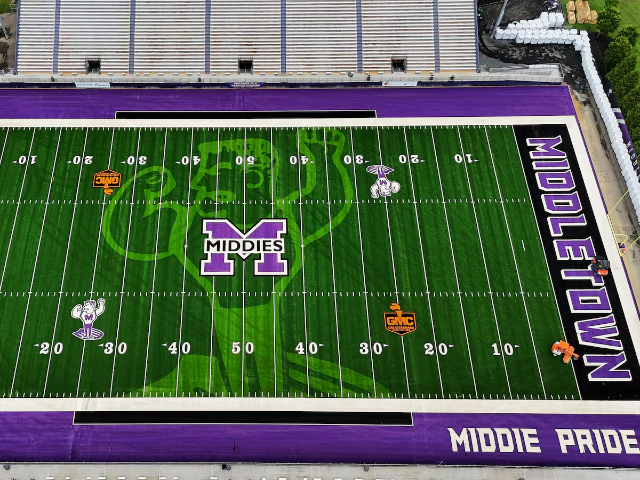 Barnitz Stadium New Turf 1