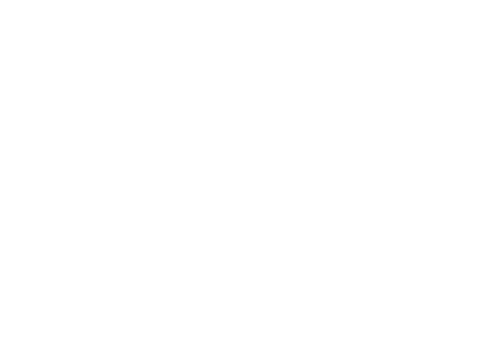 David Slaughter Photography logo