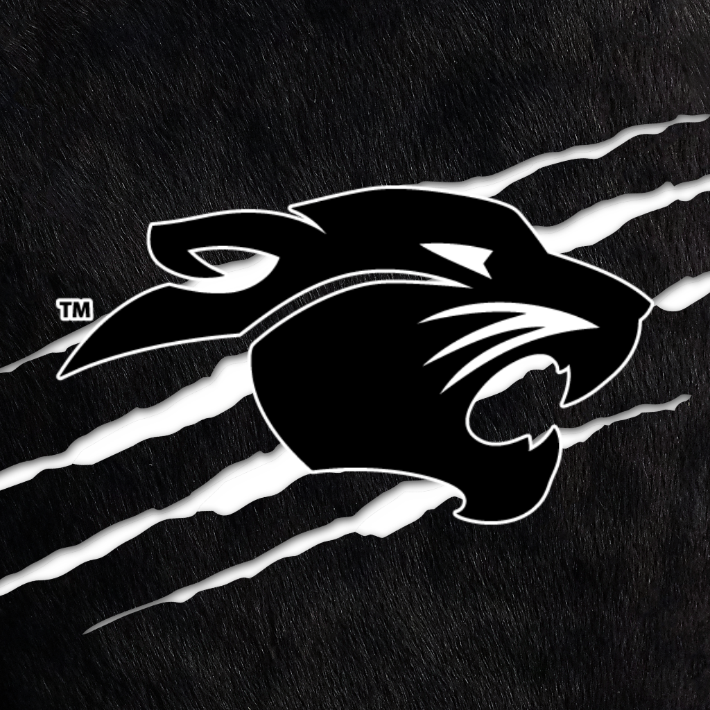 Pickerington North  app logo