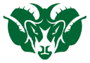 Badin