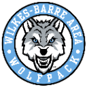 Wilkes Barre Area logo 1