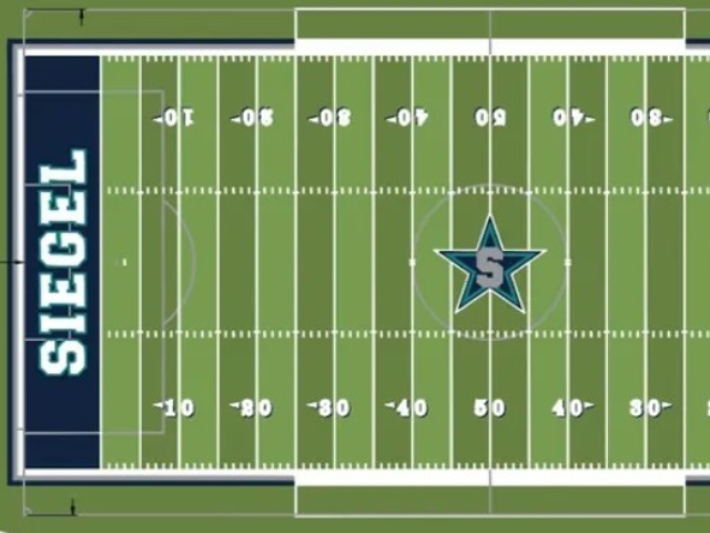 Ken Nolan Stadium Turf